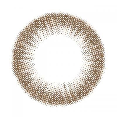 ピュアブラウン レンズ画像