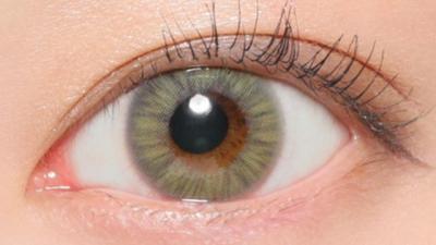 フレッシュライム 装用画像