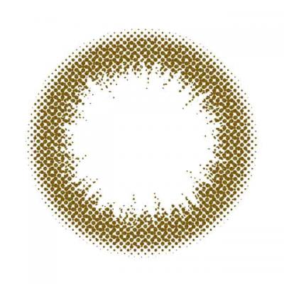 オリーブ レンズ画像