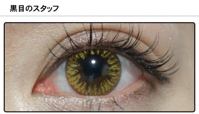 スタッフ0の装着画像