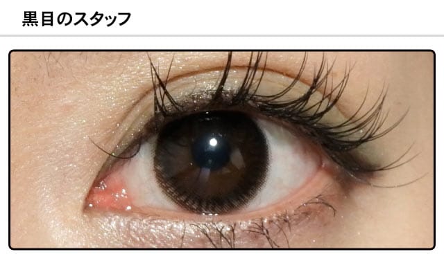 スタッフ0の装着画像