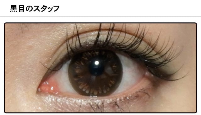 スタッフ0の装着画像