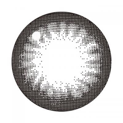 ビギナーブラック レンズ画像