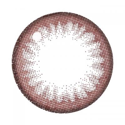 ビギナーチョコレート レンズ画像