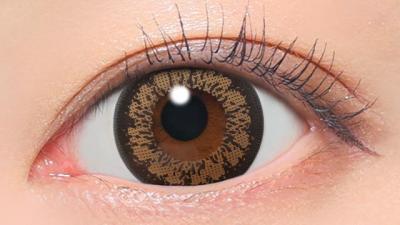 キングブラウン 装用画像