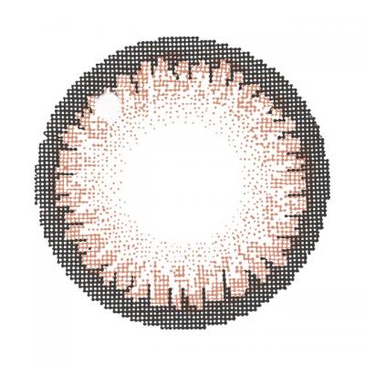 シュガーブラウン レンズ画像