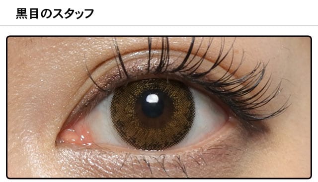 スタッフ0の装着画像
