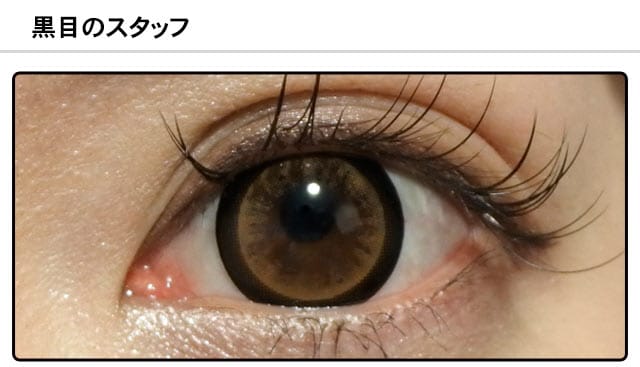 スタッフ1の装着画像