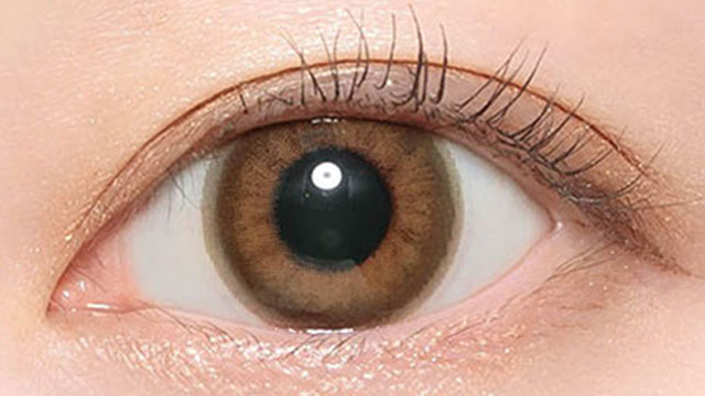 アリアナヘーゼル装用画像