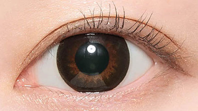 ビギナーブラック装用画像