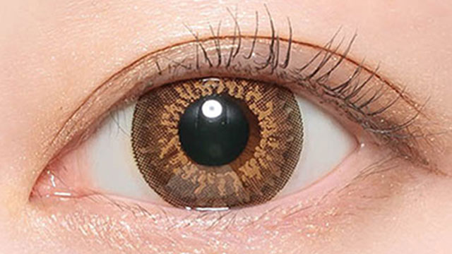 ゴシップブラウン装用画像