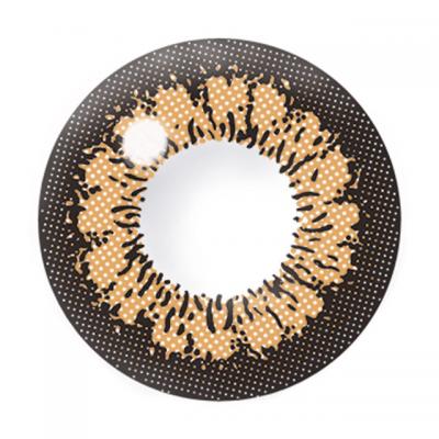 キングブラウン レンズ画像