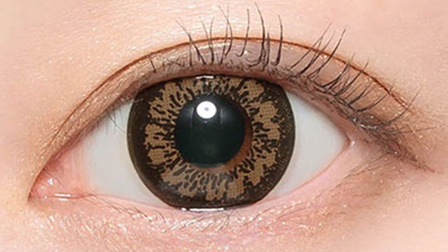 キングブラウン装用画像