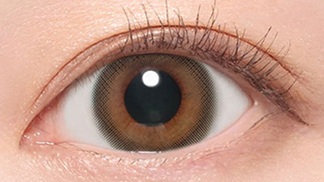 ルルブラウン装用画像