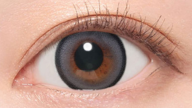 メログレー装用画像