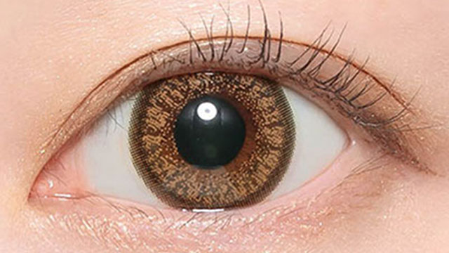 ナチュラルブラウン装用画像