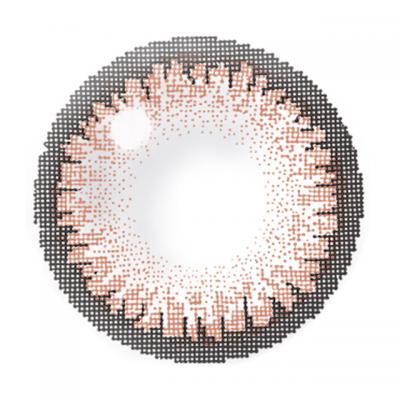 シュガーブラウン レンズ画像