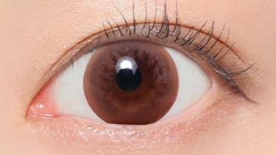  NO.1 チョコレート 装用画像