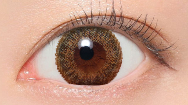  NO.14 ヘーゼル装用画像