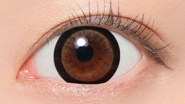 NO.03 ブラウン装用画像