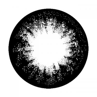 NO.5 ブラック レンズ画像