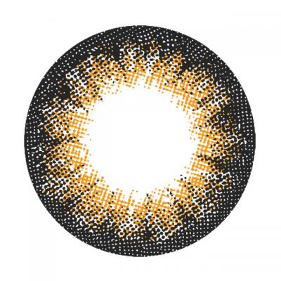 NO.6 ブラウン レンズ画像