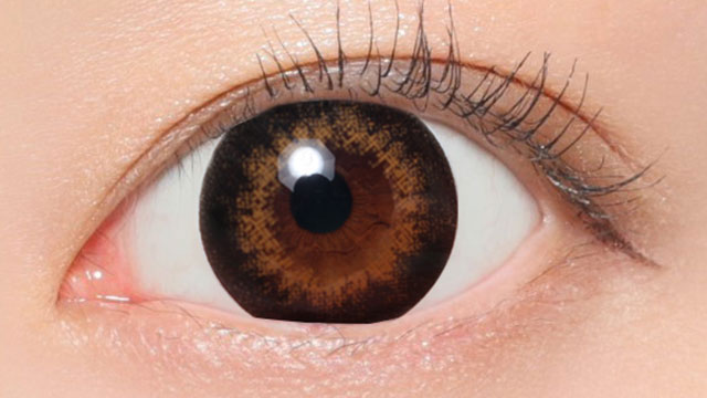 NO.06 ブラウン装用画像