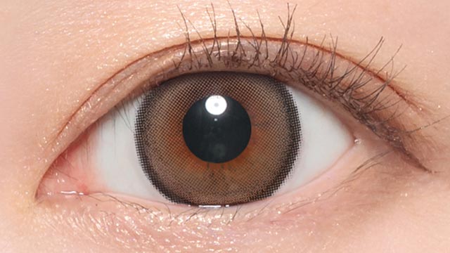 ラテベージュ装用画像