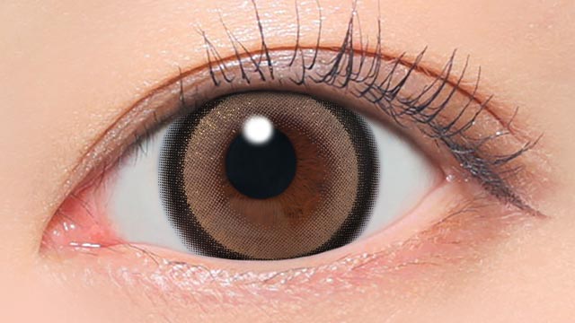 ラメブラウン 装用画像