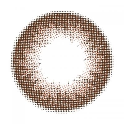 セピア レンズ画像