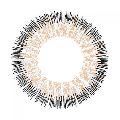  NO.15 グレー レンズ画像