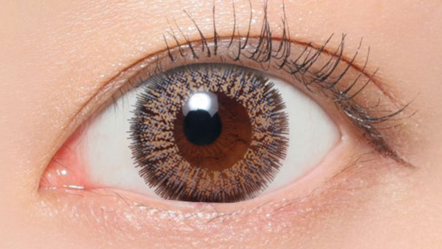  NO.15 グレー装用画像