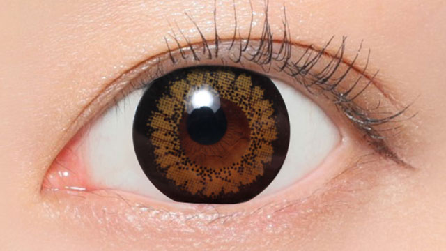 NO.9 ブラウン装用画像