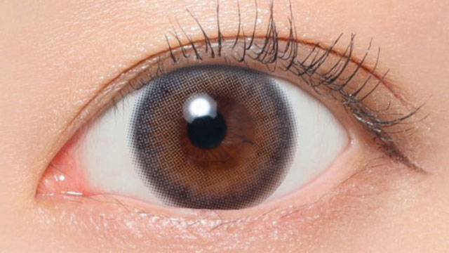 グレージュ装用画像