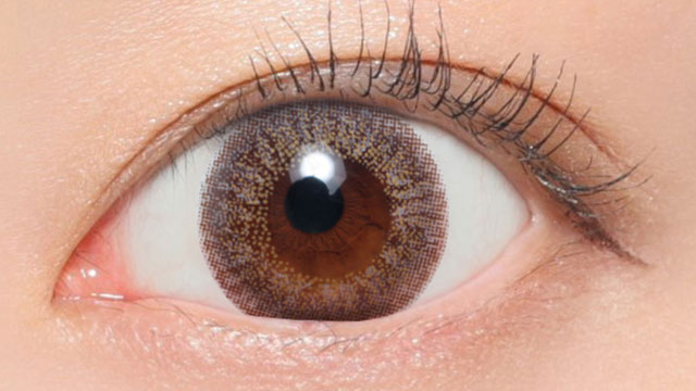 グレージュ装用画像