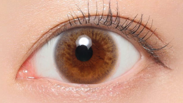 ライトブラウン装用画像