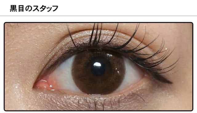 スタッフ0の装着画像