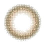 ルイ バイカラーマジョリティ ステディ