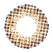 チャンスワンデー クレバーブラウン
