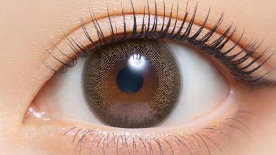 クラシックブラウン 装用画像