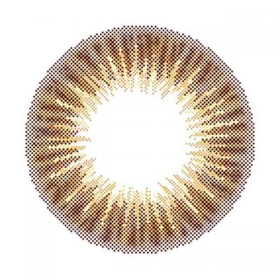 ロワールブラウン レンズ画像