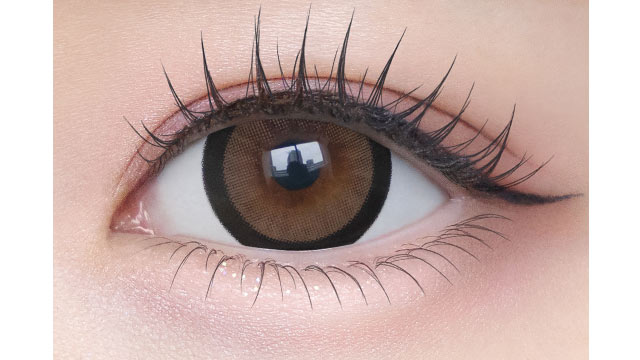 シャプン みつめてブラウニー(2)