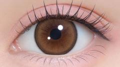 シャプン ワンマンス きらゆめブラウン