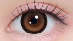 シャプン ワンマンス ときとめブラウン