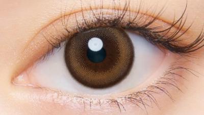 イブニング 装用画像