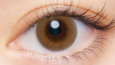 サンフラワー 装用画像