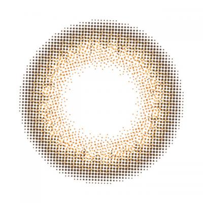 サンフラワー レンズ画像