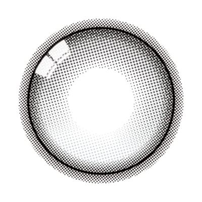 カラーズワンデー アッシュルミエール レンズ画像