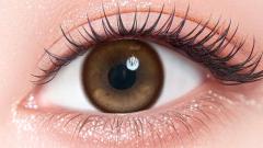 カラーズワンマンス ハニーグロス 一条響 装用画像