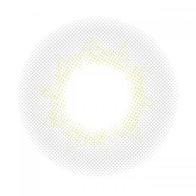 ハーフスノーグレー レンズ画像